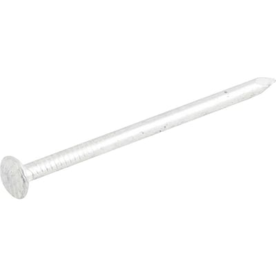 Prego galvanizado, com cabeça 13 x 15