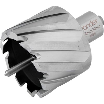 Broca anular, encaixe Weldon, 48 mm x 30 mm