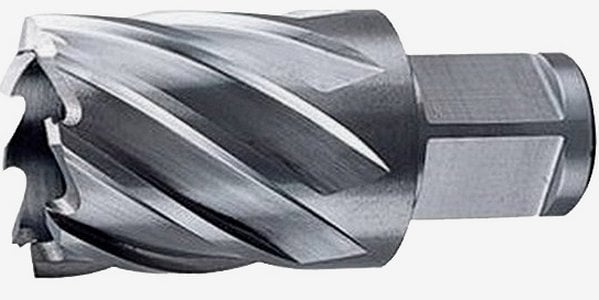 Broca anular, encaixe Weldon, 20 mm x 30 mm, DT8403-XJ