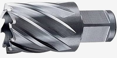 Broca anular, encaixe Weldon, 22 mm x 30 mm, DT8404-XJ